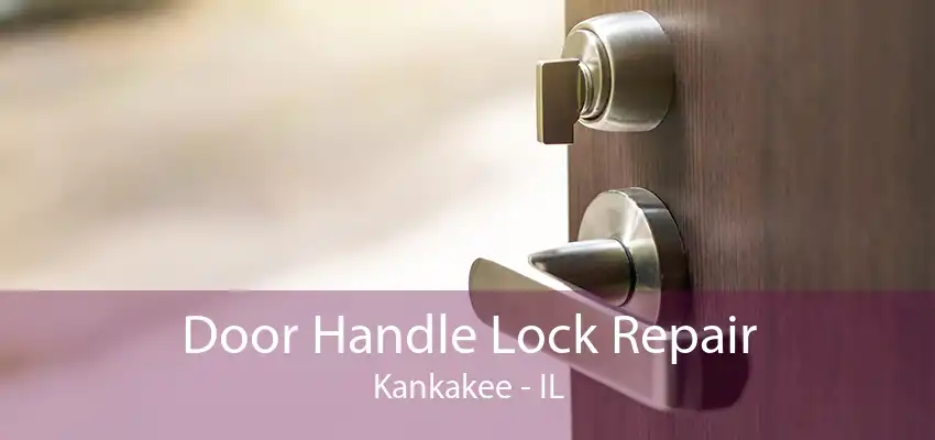 Door Handle Lock Repair Kankakee - IL