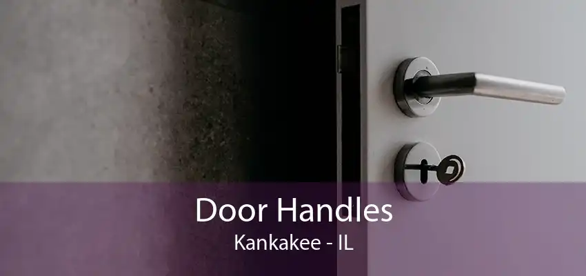 Door Handles Kankakee - IL