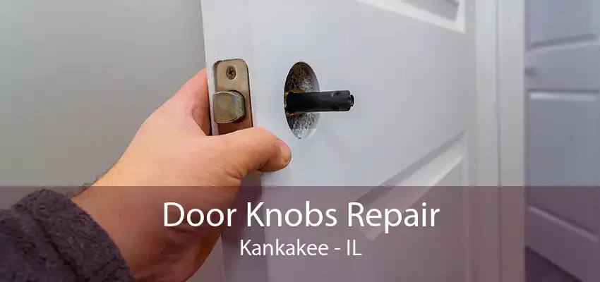 Door Knobs Repair Kankakee - IL