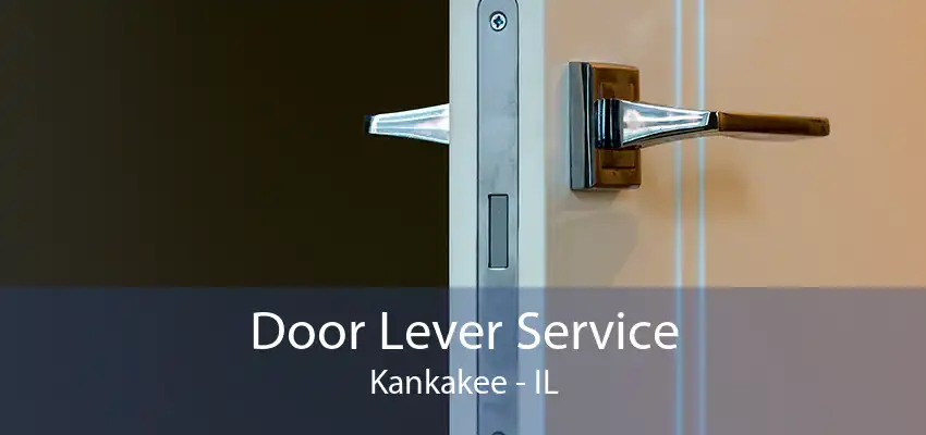 Door Lever Service Kankakee - IL