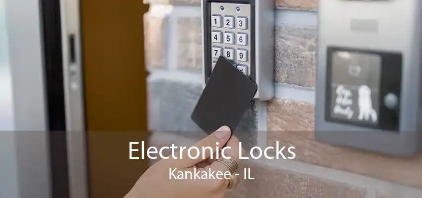 Electronic Locks Kankakee - IL