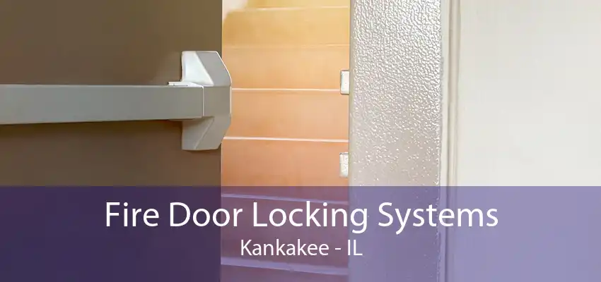 Fire Door Locking Systems Kankakee - IL