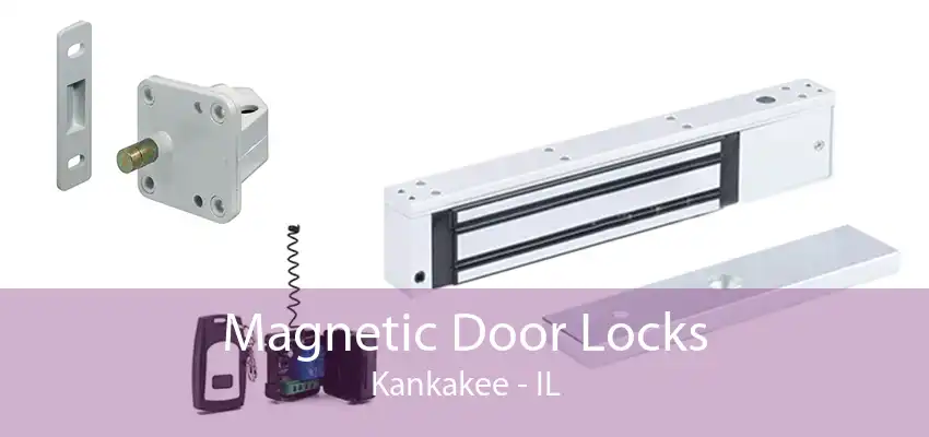 Magnetic Door Locks Kankakee - IL