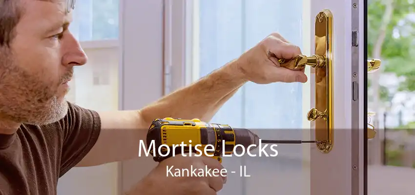 Mortise Locks Kankakee - IL