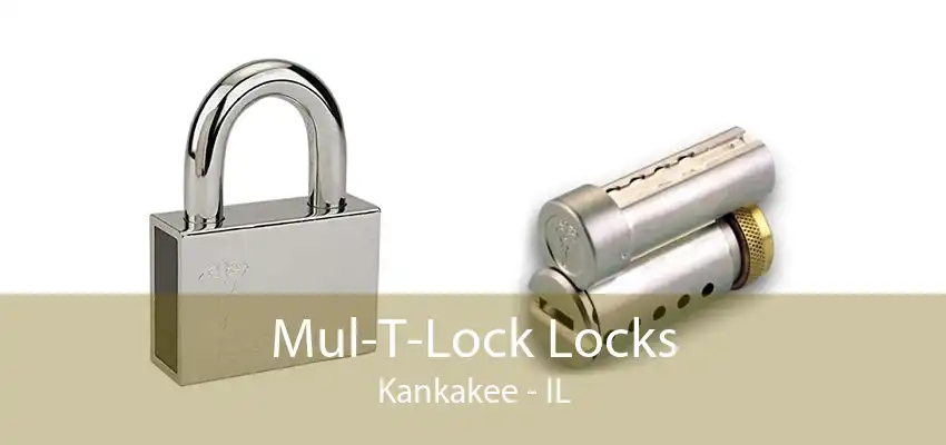 Mul-T-Lock Locks Kankakee - IL