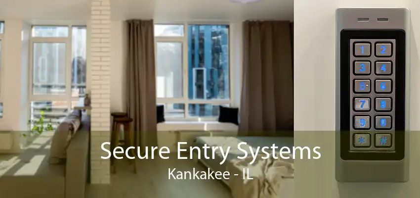 Secure Entry Systems Kankakee - IL