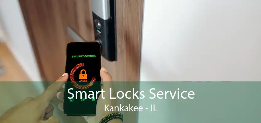 Smart Locks Service Kankakee - IL